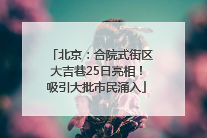 北京：合院式街区大吉巷25日亮相！吸引大批市民涌入