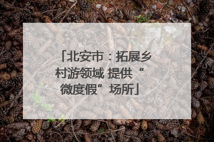 北安市：拓展乡村游领域 提供“微度假”场所