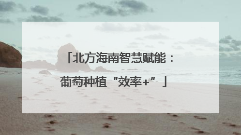 北方海南智慧赋能：葡萄种植“效率+”