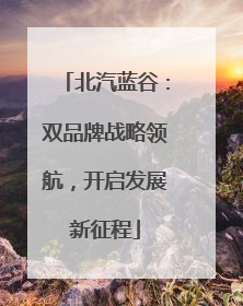 北汽蓝谷：双品牌战略领航，开启发展新征程