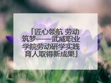 匠心领航 劳动筑梦——武威职业学院劳动研学实践育人取得新成果