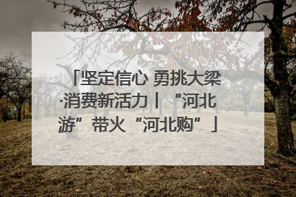 坚定信心 勇挑大梁·消费新活力丨“河北游”带火“河北购”