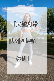 吴毓舟带队到西坪镇调研