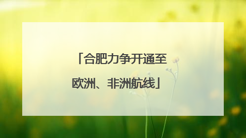 合肥力争开通至欧洲、非洲航线