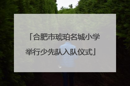 合肥市琥珀名城小学举行少先队入队仪式