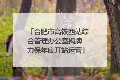 合肥市高铁西站综合管理办公室揭牌 力保年底开站运营