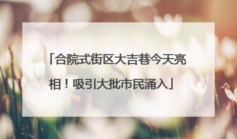 合院式街区大吉巷今天亮相！吸引大批市民涌入