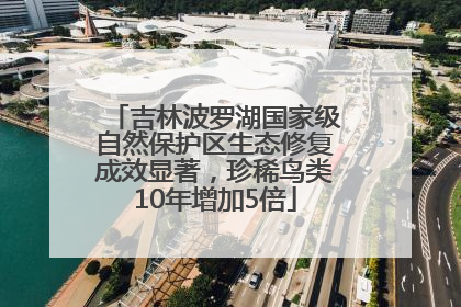 吉林波罗湖国家级自然保护区生态修复成效显著，珍稀鸟类10年增加5倍