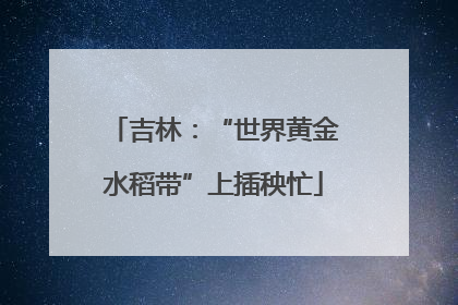 吉林：“世界黄金水稻带”上插秧忙