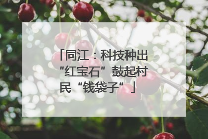 同江：科技种出“红宝石”鼓起村民“钱袋子”