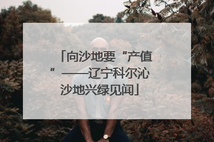 向沙地要“产值”——辽宁科尔沁沙地兴绿见闻
