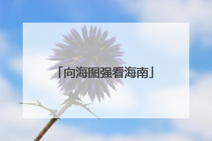 向海图强看海南