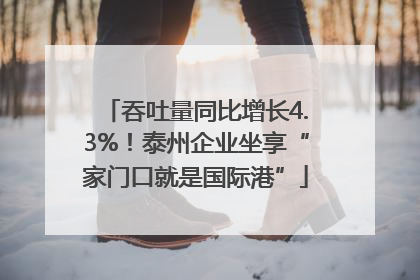 吞吐量同比增长4.3%！泰州企业坐享“家门口就是国际港”