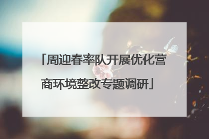 周迎春率队开展优化营商环境整改专题调研
