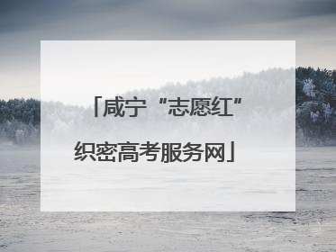 咸宁“志愿红”织密高考服务网