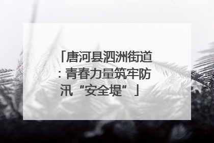 唐河县泗洲街道：青春力量筑牢防汛“安全堤”