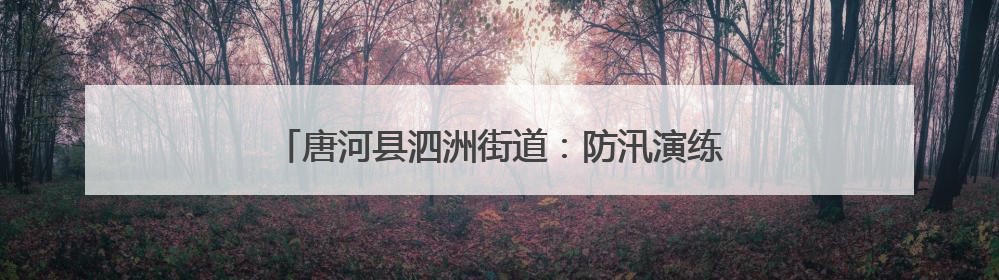 唐河县泗洲街道：防汛演练筑防线 未雨绸缪保安全