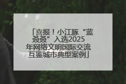 喜报！小江豚“蓝叒叒”入选2025年网络文明国际交流互鉴城市典型案例