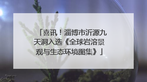 喜讯！淄博市沂源九天洞入选《全球岩溶景观与生态环境图集》