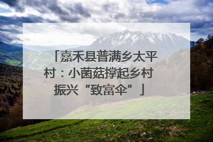 嘉禾县普满乡太平村：小菌菇撑起乡村振兴“致富伞”