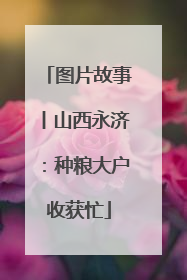 图片故事丨山西永济：种粮大户收获忙