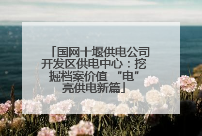 国网十堰供电公司开发区供电中心：挖掘档案价值 “电”亮供电新篇