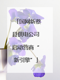 国网新蔡县供电公司启动营商“新引擎”