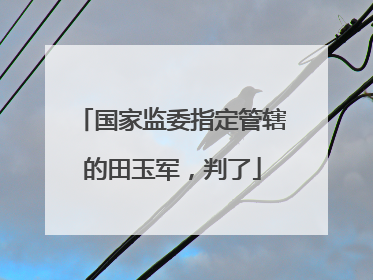 国家监委指定管辖的田玉军，判了
