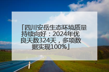 四川安岳生态环境质量持续向好：2024年优良天数324天，多项数据实现100%