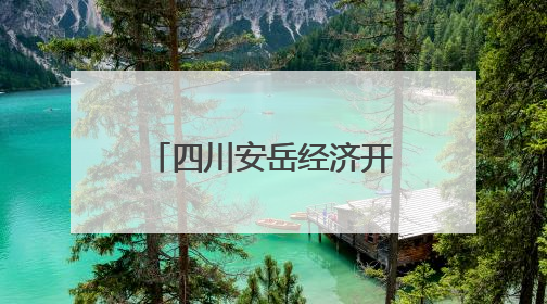 四川安岳经济开发区上榜“2024四川高质量发展产业园区”