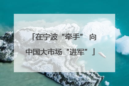在宁波“牵手” 向中国大市场“进军”