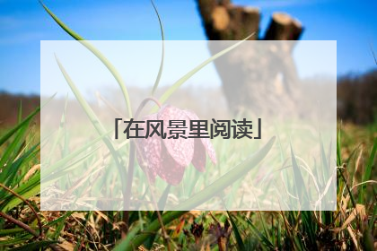在风景里阅读