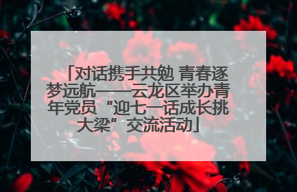 对话携手共勉 青春逐梦远航——云龙区举办青年党员“迎七一话成长挑大梁”交流活动