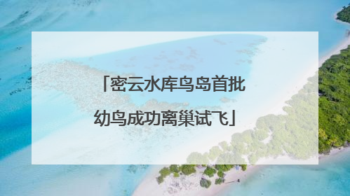 密云水库鸟岛首批幼鸟成功离巢试飞