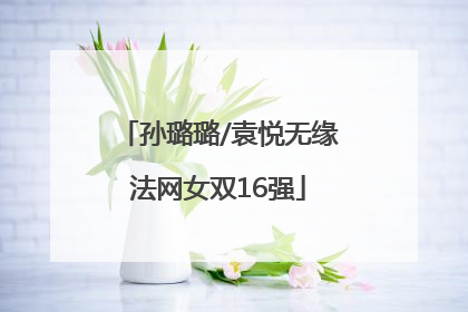 孙璐璐/袁悦无缘法网女双16强