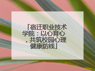 宿迁职业技术学院：以心育心，共筑校园心理健康防线