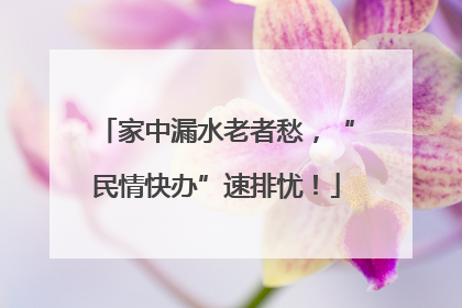 家中漏水老者愁，“民情快办”速排忧！