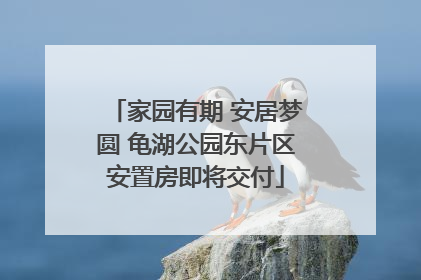 家园有期 安居梦圆 龟湖公园东片区安置房即将交付