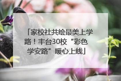 家校社共绘最美上学路！丰台30校“彩色学安路”暖心上线
