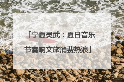 宁夏灵武：夏日音乐节奏响文旅消费热浪