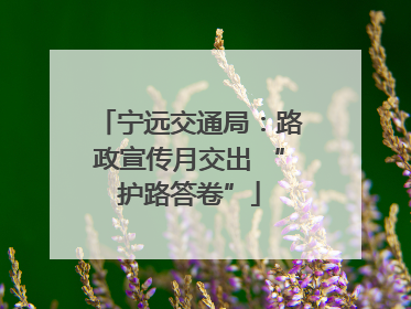 宁远交通局：路政宣传月交出 “护路答卷”