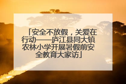 安全不放假，关爱在行动——庐江县同大镇农林小学开展暑假前安全教育大家访