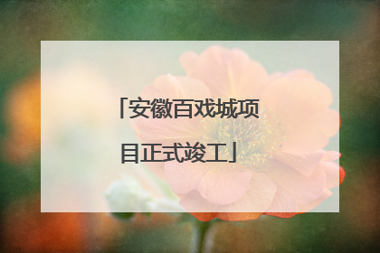 安徽百戏城项目正式竣工