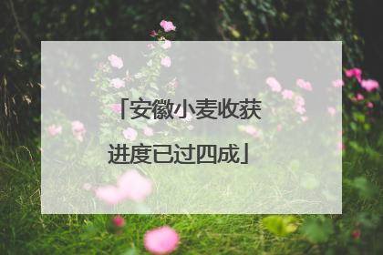 安徽小麦收获进度已过四成