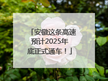 安徽这条高速预计2025年底正式通车！
