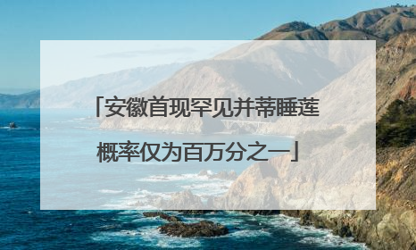 安徽首现罕见并蒂睡莲 概率仅为百万分之一