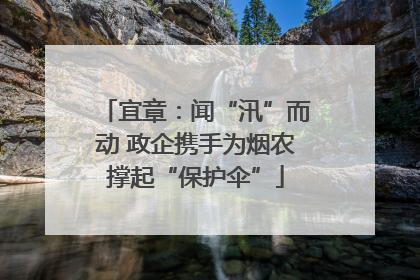 宜章：闻“汛”而动 政企携手为烟农撑起“保护伞”