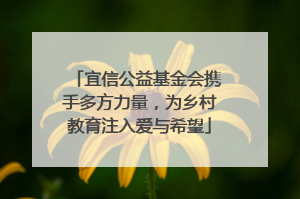 宜信公益基金会携手多方力量，为乡村教育注入爱与希望