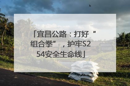 宜昌公路：打好“组合拳”，护牢S254安全生命线