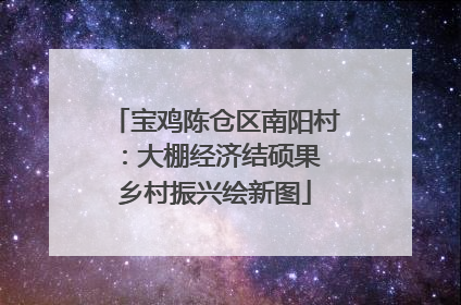 宝鸡陈仓区南阳村：大棚经济结硕果 乡村振兴绘新图